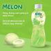 Taveephol Product Co LTD KATO Meloensap met Nata De Coco 1 x 320 ml - Buy Online on GoSupps.com
