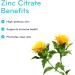 Sisu Zinc Citrate 90 Vegetable Caps - High-potency Zinc Supplement - Immune & Prostate Health Support - Vegan Non-GMO Soy Gluten & Dairy Free - 90 Servings - Buy Online on GoSupps.com
