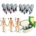 Magnetic Suction Cup Set for Relaxation & Slimming - 18 12 & 8 Pieces Available | Body Massage Tool - Buy Online on GoSupps.com