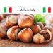 Natural Hazelnuts in Shell Italian from Piedmont - 750 gr Rich in Phosphorus Magnesium and Potassium untreated raw Dried Fruit - Buy Online on GoSupps.com