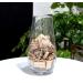 Byher Craft Sticks Mini Wood Logs - Rustic Farmhouse Decor Twigs - Buy Online on GoSupps.com