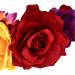 Mexican Flower Crown Headband Halloween Party Flower Headband Halloween Costume Cosplay Headpiece Hair Accessories - Buy Online on GoSupps.com
