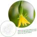 GANAZONO 12 Pcs Vegetable Mold Plastic Fruit Pumpkin for Fruits Mold Watermelon Strawberry 9x8cmx4pcs Transparentx4pcs - Buy Online on GoSupps.com
