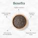 Organic Chia Seeds with Omega-3 (397g/14oz) - USDA Organic, Raw & Rich in Fibers | Ideal for Smoothies - Spice Train - Buy Online on GoSupps.com