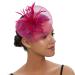 Fascinator Hat Elegant Feather Net Mesh Derby Tea Party Hats Headwear Elegant Wedding Headbands for Women Girls Rosy