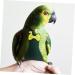 Shop MipCase Flying Bird Diapers | Nymphensittich Flight Suit & Cotton Pet Pee Pad - International Shipping Available - Buy Online on GoSupps.com