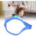 DIY Silicone Neckline Template Stencil for Easy Precise Hair Trimming Adjustable Fit Versatile Design Professional Hairline Shaping Time Saving Hair Grooming Blue - Buy Online on GoSupps.com