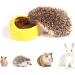 Ceramic Hamster Food Bowl DBAILY 3PCS Hamster Feeding Bowls Eating Basin Feeder Hedgehog Feeder Water Bowl Dish Holder for Guinea Pig Rodent Rat Gerbil Cavy - Buy Online on GoSupps.com