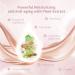CATKIN Blossom BB Cream Air Cushion Foundation Buildable Coverage Moist Natural Sheer Finish Face Makeup with 2 Refills Beige (C01 Light Beige) - Buy Online on GoSupps.com