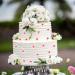 Hpory Edible Flower Cupcake Toppers 100 Pcs Cherry Blossoms Cake Topper Glutinous Rice Paper Happy Birthday Cake Toppers Flowers Cake Decorations for Birthday Wedding Celebration Party - Buy Online on GoSupps.com