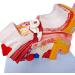Human Ear Model - 1.5 Times The Human Ear Size Model Anatomy Organ Medical Tool - Buy Online on GoSupps.com