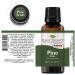 Buy Plant Therapy Scots Pine Essential Oil 30 mL | 100% Pure Undiluted & Therapeutic Grade - International Shipping Available - Buy Online on GoSupps.com