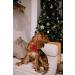 Unique Style Paws Halloween Dog Collar - Adjustable Silk Durable & Festive for Large Dogs | Tangerine - Buy Online on GoSupps.com