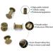 75 Sets Chicago Screw Assorted Kit in Bronze - 3 Sizes for Leather Craft & Bookbinding - Buy Online on GoSupps.com