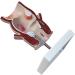 Medical Science Rectum Fissure Lesion Model 5X Human Pathology Model Hemorrhoid Anal Fistula Medical Organ Model - Buy Online on GoSupps.com