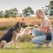 Trixie Premio Dog Chicken Bites 100g - Gluten-Free Grain-Free Dog Treats | Premium Training Rewards - Buy Online on GoSupps.com