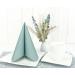 50 APARTina Eucalyptus Green Airlaid Napkins - Fabric-like 33x33 cm | Premium International Shipping - Buy Online on GoSupps.com