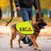 Nervous Dog Jacket Vest Service Dog Working Dog Anxious Dogs Scared Dogs Slogan Warning Vest (NO TOUCH Large) - Buy Online on GoSupps.com