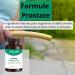 VITAVALIA - Prostate Formula - 90 capsules - African Plum + Saw Palmetto + Guggul + Squash Seed + Tribulus + Zinc - Made in France - Buy Online on GoSupps.com
