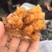 Room Decoration Natural Stone Calcite Cluster Crystal Flow Raw Quartz Point Selenite Rough Crystal Cluster Calcspar Minerals Specimen Stones (Color : 150-170g) - Buy Online on GoSupps.com