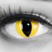 Funnylens 1 pair of colored yellow crazy fun cat eye contact lenses.Top quality for carnival carnival Halloween with free contact lens tank |With strength |-6.00 diopters -6.0 diopters 8.6 millimeters 14.00 millimeters 2.0