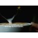 VIA CREMA 250 gr Coffee Beans Dark Chocolate Bag Coffe Beans Vanilla Hazelnut 250 g (Pack of 1) - Buy Online on GoSupps.com