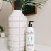 Original Sprout Classic Shampoo - Sulfate-Free Hair Care 12 oz (2 Pack) - Buy Online on GoSupps.com