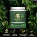 Organic Greens Probiotic Powder & Vegan Collagen Protein Powder Set | Bundle & Save | Non-GMO No Added Sugar Soy or Dairy (20 Servings Vegan Collagen Booster 45 Servings Greens) - Buy Online on GoSupps.com