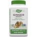 Nature's Way Ginger Root 1100 mg 240 Vegan Capsules