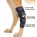 RockPet Dog Hind Leg Joint Brace Therapeutic Hip Bandage for Canines (L) - Buy Online on GoSupps.com