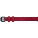 Personalized Leather Dog Collar with Engraving - Jacks O Be Red (M) | Custom Pet Accessory - Buy Online on GoSupps.com
