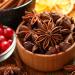 100% Natural Star Anise Whole (250g) - Pure Star Anise Pods for Tea - Additive-Free - 8.8oz Pack - Buy Online on GoSupps.com