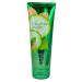 Bath and Body Works Cucumber Melon Body Cream 8 oz - New Bottle Style | Signature Collection 8 Ounce - Buy Online on GoSupps.com