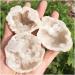 Stone Crafts Natural Agate geode Quartz Crystal Crystals Stone and Crystals Quartz for Home Decoration Gift Natural Luster - Buy Online on GoSupps.com