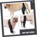 SEWOART Knee Paw Puppy Knee Pads Dog Elbow Protector Pet Injury Supply Balm Hind Leg Care XL 1 - Buy Online on GoSupps.com