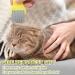 Aoche Pet Comb - 3 Pack Flea Comb & Tear Stain Remover for Dogs and Cats - Buy Online on GoSupps.com