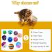 LASOCUHOO 30 PCS Cat Toy Assortment - Rainbow, Crinkle, Sparkle, Bell, Sisal, Linen Balls for Kittens & Cats - Buy Online on GoSupps.com
