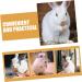 NOLITOY 12pcs Pet Rabbit Snacks Chinchilla Treats Teeth Grinding Sticks Pet Chewing Playthings Animal Petal - Buy Online on GoSupps.com