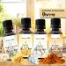 Lean Life Pumpkin Spice Flavor Drops - Sugar-Free Low-Calorie Aroma Drops for Food - 30 ml (1 Pack) - Buy Online on GoSupps.com