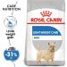 ROYAL CANIN Dog Food Mini Light 8kg - Buy Online on GoSupps.com