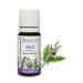 Organic Sage Essential Oil 100% Pure Undiluted Salvia officinalis French Therapeutic Grade Premium Quality Aromatherapy Oil Tested & Verified 10ML 0.34 Fl Oz (Pack of 1)