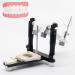 Beesom adjustable articulator dental laboratory tool dental magnet articulator adjustable prosthesis articulator for prostheses dental technician pine frame