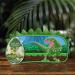 BAYLIS & HARDING Dinosaur Pencil Case Gift Set - Vegan Friendly | 1-Pack - Buy Online on GoSupps.com