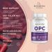 Buy Bandini OPC Grape Seed Extract 200 Capsules | 95% Pure OPC (1000mg) from Italian Grapes | High Dose Vegan & GVO-Free - Boost Your Health! - Buy Online on GoSupps.com