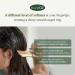 Shop Refresh Moment Perfume Treatment - Jeju Camellia & Fig Fog | International Shipping Available - Buy Online on GoSupps.com