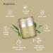 Luxurious Face Cream with Peptides & Emollients - Rehydrate Revitalize & Rejuvenate Skin - Diminish Fine Lines & Boost Elasticity - 30ml - International Shipping Available - Buy Online on GoSupps.com