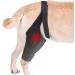 Dog Leg Support Brace - Dog Hip Brace Protector Pets Joint Brace Support | Soft Neoprene Dog Hip Dysplasia Brace High Elasticity Breathable Back Leg Protector for Recovery Period Wounds Black Black M - Buy Online on GoSupps.com