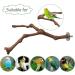 Natural Wood Bird Seat Rods Set - 2 Grapewood Pencil Rods for Budgies & Canaries | Premium Bird Cage Accessories - Buy Online on GoSupps.com