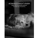 YI Dog Camera with Phone App  WiFi Indoor Cam with 2-Way Audio  Night Vision  360-degree  Sound Motion Detection  Cat Pet Puppy Bird Animal Doggie Nanny Cam  Compatible with Alexa and Google - Buy Online on GoSupps.com