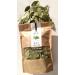 Arselia Wild Dried Bay Leaves Whole 2 Oz | Mediterranean Laurel Nobilis | Premium Quality | Natural All Green - Buy Online on GoSupps.com